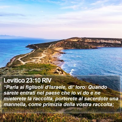 Levitico 23:10 RIV Bible Verse Image
