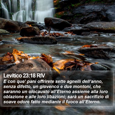 Levitico 23:18 RIV Bible Verse Image