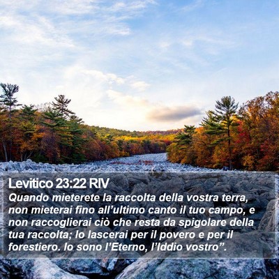 Levitico 23:22 RIV Bible Verse Image