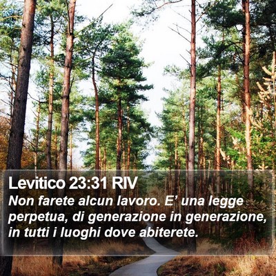 Levitico 23:31 RIV Bible Verse Image