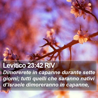 Levitico 23:42 RIV Bible Verse Image