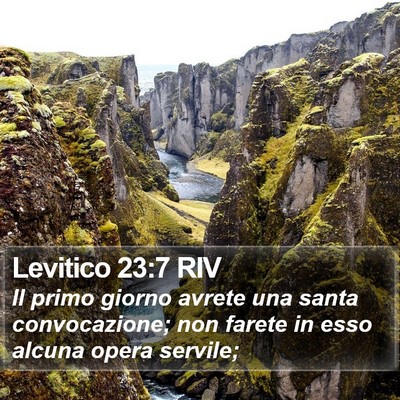Levitico 23:7 RIV Bible Verse Image
