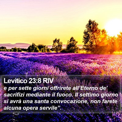 Levitico 23:8 RIV Bible Verse Image