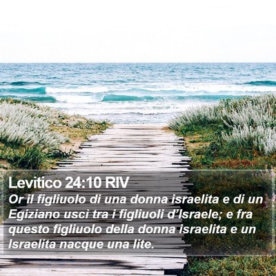 Levitico 24:10 RIV Bible Verse Image
