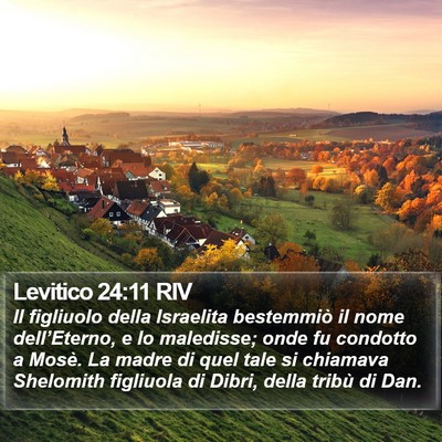 Levitico 24:11 RIV Bible Verse Image