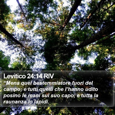 Levitico 24:14 RIV Bible Verse Image