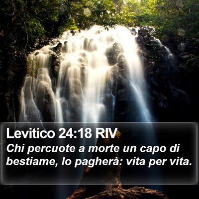 Levitico 24:18 RIV Bible Verse Image