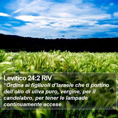 Levitico 24:2 RIV Bible Verse Image