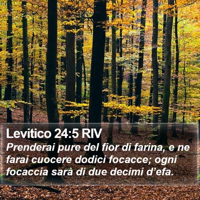 Levitico 24:5 RIV Bible Verse Image