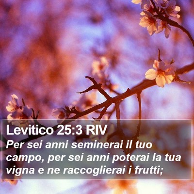 Levitico 25:3 RIV Bible Verse Image