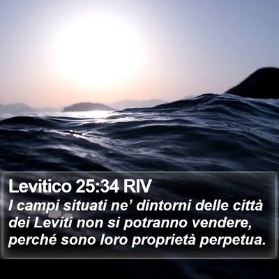 Levitico 25:34 RIV Bible Verse Image
