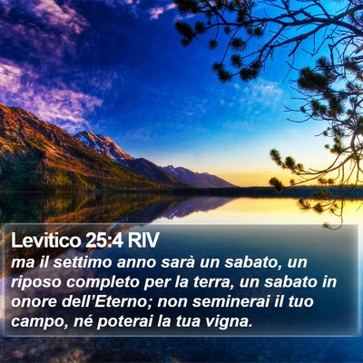 Levitico 25:4 RIV Bible Verse Image