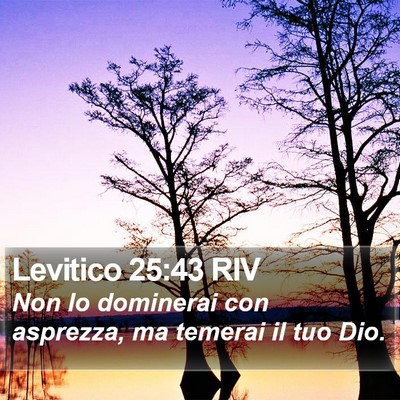 Levitico 25:43 RIV Bible Verse Image