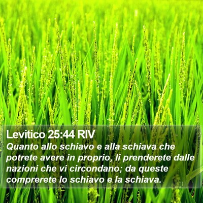 Levitico 25:44 RIV Bible Verse Image