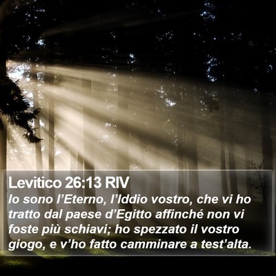 Levitico 26:13 RIV Bible Verse Image