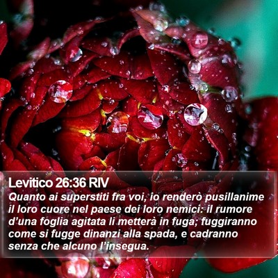 Levitico 26:36 RIV Bible Verse Image