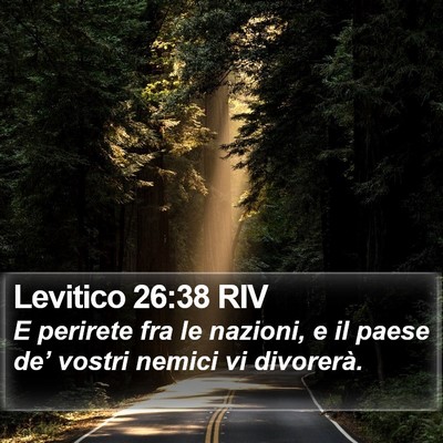 Levitico 26:38 RIV Bible Verse Image