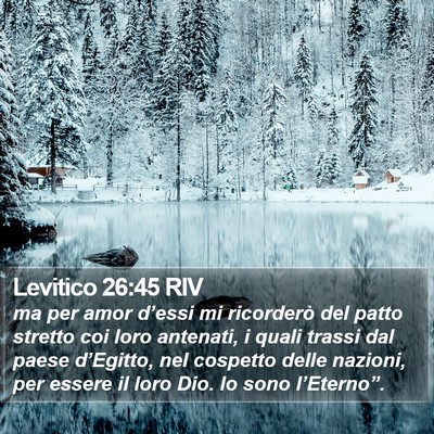 Levitico 26:45 RIV Bible Verse Image