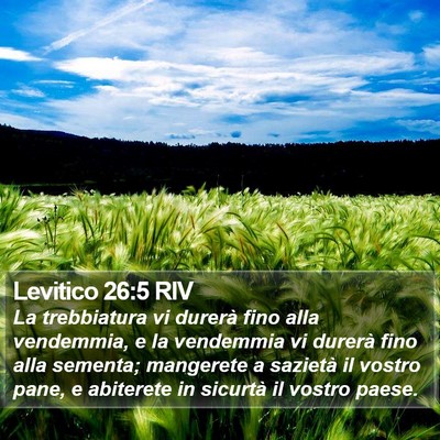 Levitico 26:5 RIV Bible Verse Image