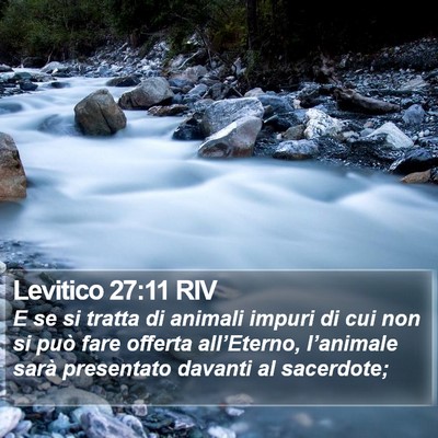 Levitico 27:11 RIV Bible Verse Image