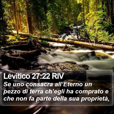 Levitico 27:22 RIV Bible Verse Image