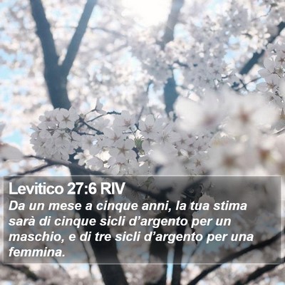 Levitico 27:6 RIV Bible Verse Image