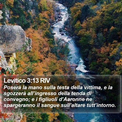 Levitico 3:13 RIV Bible Verse Image