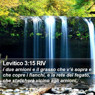 Levitico 3:15 RIV Bible Verse Image