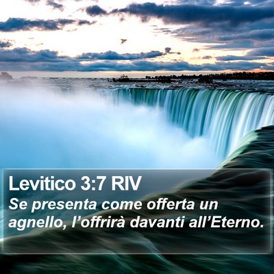 Levitico 3:7 RIV Bible Verse Image