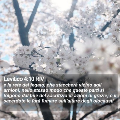 Levitico 4:10 RIV Bible Verse Image