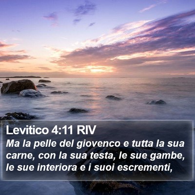 Levitico 4:11 RIV Bible Verse Image