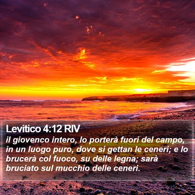 Levitico 4:12 RIV Bible Verse Image