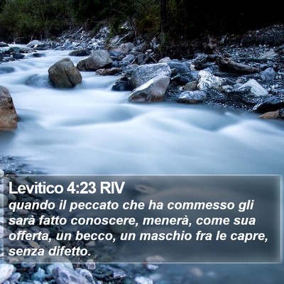 Levitico 4:23 RIV Bible Verse Image