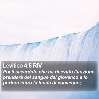Levitico 4:5 RIV Bible Verse Image