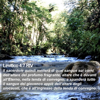 Levitico 4:7 RIV Bible Verse Image