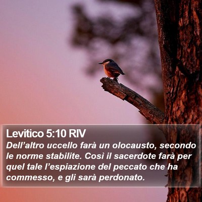 Levitico 5:10 RIV Bible Verse Image