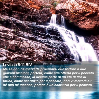 Levitico 5:11 RIV Bible Verse Image