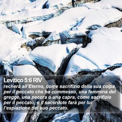 Levitico 5:6 RIV Bible Verse Image