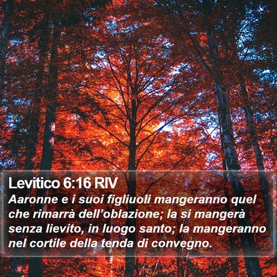 Levitico 6:16 RIV Bible Verse Image