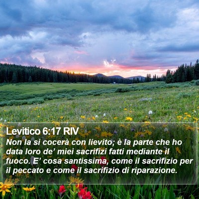 Levitico 6:17 RIV Bible Verse Image