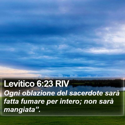 Levitico 6:23 RIV Bible Verse Image