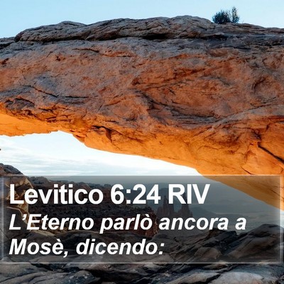 Levitico 6:24 RIV Bible Verse Image