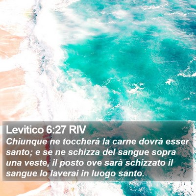 Levitico 6:27 RIV Bible Verse Image