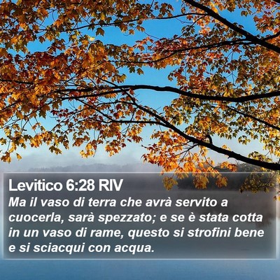 Levitico 6:28 RIV Bible Verse Image