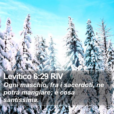 Levitico 6:29 RIV Bible Verse Image
