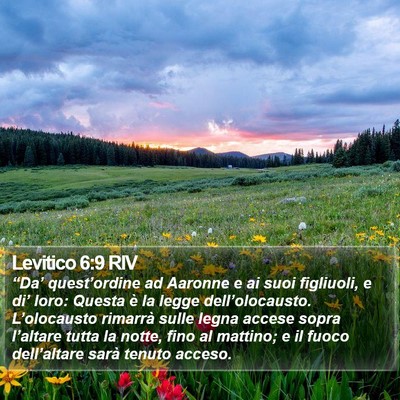 Levitico 6:9 RIV Bible Verse Image