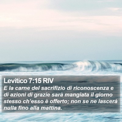 Levitico 7:15 RIV Bible Verse Image