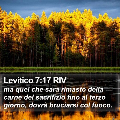 Levitico 7:17 RIV Bible Verse Image