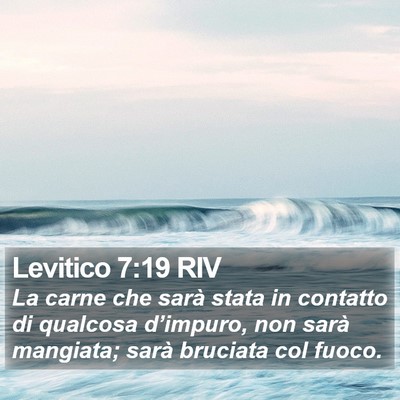 Levitico 7:19 RIV Bible Verse Image