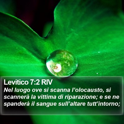 Levitico 7:2 RIV Bible Verse Image